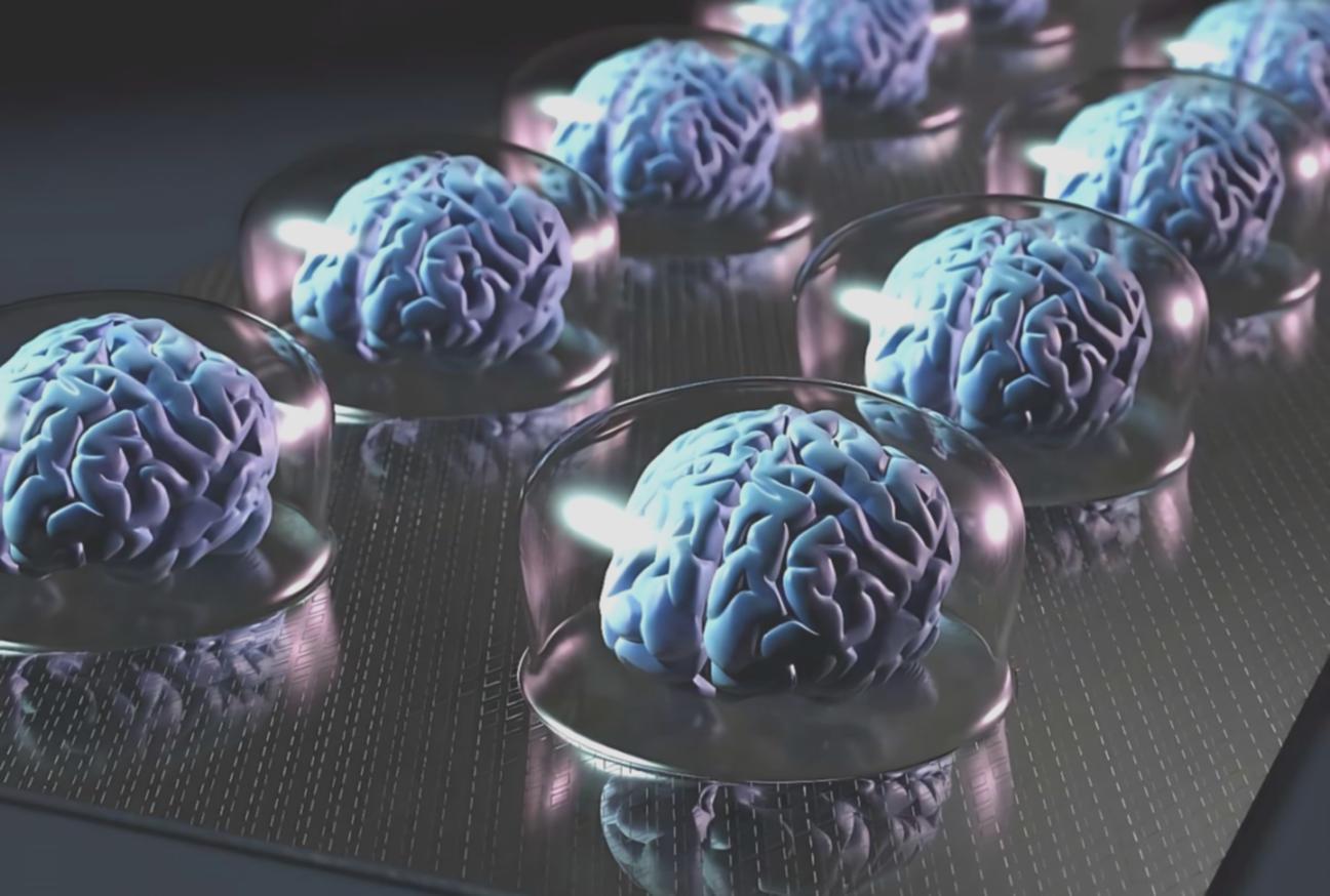 Отзыв участника вебинара